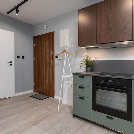 Citycenterapartments-11/21 Bielsko-Biała Eksteriør billede